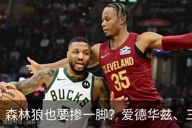 森林狼也要掺一脚？爱德华兹、三球联手招募，詹姆斯去向即将揭晓